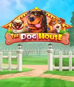 Experience Pragmatic Play's The Dog House adventure, bringing you a fun-filled adventure through playful pups. Enjoy gameplay elements including sticky wilds, perfect for providing joyful moments. Ideal for those who enjoy a lighthearted theme with a chance for big wins.